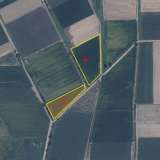 For Sale - (€ 0 / m2), Agricultural 17616 m2 Chrisoupoli 8098360 thumb2