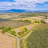  For Sale - (€ 0 / m2), Agricultural 17616 m2 Chrisoupoli 8098360 thumb0
