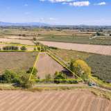  For Sale - (€ 0 / m2), Agricultural 17616 m2 Chrisoupoli 8098360 thumb3