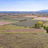  For Sale - (€ 0 / m2), Agricultural 17616 m2 Chrisoupoli 8098360 thumb8