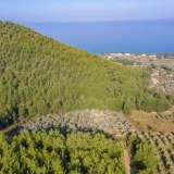  For Sale - (€ 0 / m2), Agricultural 7945 m2 Thasos 8098377 thumb2
