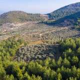  For Sale - (€ 0 / m2), Agricultural 7945 m2 Thasos 8098377 thumb7