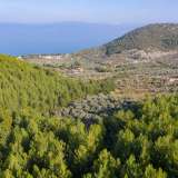  For Sale - (€ 0 / m2), Agricultural 7945 m2 Thasos 8098377 thumb6