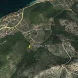  For Sale - (€ 0 / m2), Agricultural 7945 m2 Thasos 8098377 thumb1