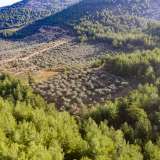  For Sale - (€ 0 / m2), Agricultural 7945 m2 Thasos 8098377 thumb8