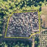  For Sale - (€ 0 / m2), Agricultural 7945 m2 Thasos 8098377 thumb3