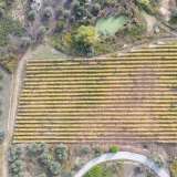 For Sale - (€ 0 / m2), Agricultural 13000 m2 Eleftheres 8098409 thumb0