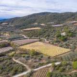  For Sale - (€ 0 / m2), Agricultural 13000 m2 Eleftheres 8098409 thumb1