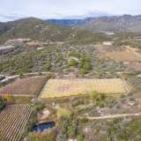  For Sale - (€ 0 / m2), Agricultural 13000 m2 Eleftheres 8098409 thumb2