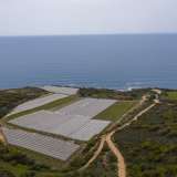 For Sale - (€ 0 / m2), Agricultural 15000 m2 Eleftheres 8098041 thumb3