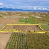  For Sale - (€ 0 / m2), Agricultural 12816 m2 Chrisoupoli 8098428 thumb6