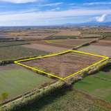  For Sale - (€ 0 / m2), Agricultural 12816 m2 Chrisoupoli 8098428 thumb9