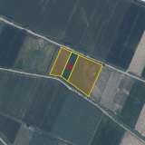  For Sale - (€ 0 / m2), Agricultural 12816 m2 Chrisoupoli 8098428 thumb2