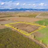  For Sale - (€ 0 / m2), Agricultural 12816 m2 Chrisoupoli 8098428 thumb7