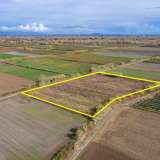  For Sale - (€ 0 / m2), Agricultural 12816 m2 Chrisoupoli 8098428 thumb5