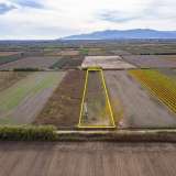  For Sale - (€ 0 / m2), Agricultural 5520 m2 Chrisoupoli 8098429 thumb7