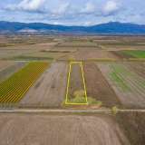  For Sale - (€ 0 / m2), Agricultural 5520 m2 Chrisoupoli 8098429 thumb3