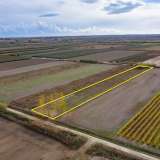  For Sale - (€ 0 / m2), Agricultural 5520 m2 Chrisoupoli 8098429 thumb8