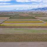  For Sale - (€ 0 / m2), Agricultural 5520 m2 Chrisoupoli 8098429 thumb5