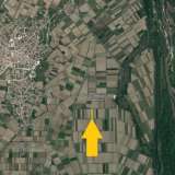  For Sale - (€ 0 / m2), Agricultural 5520 m2 Chrisoupoli 8098429 thumb1