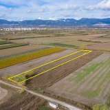  For Sale - (€ 0 / m2), Agricultural 5520 m2 Chrisoupoli 8098429 thumb4