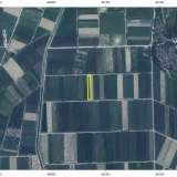  For Sale - (€ 0 / m2), Agricultural 5520 m2 Chrisoupoli 8098429 thumb2