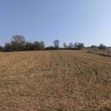 For Sale - (€ 0 / m2), Agricultural 4200 m2 Lefkonas 8098449 thumb1