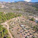  For Sale - (€ 0 / m2), Agricultural 7411 m2 Thasos 8098453 thumb6