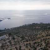  For Sale - (€ 0 / m2), Agricultural 12264 m2 Thasos 8098463 thumb6