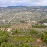  For Sale - (€ 0 / m2), Agricultural 5586.33 m2 Thasos 8098464 thumb6