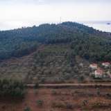  For Sale - (€ 0 / m2), Agricultural 5586.33 m2 Thasos 8098464 thumb1