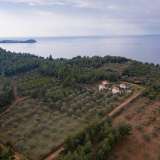  For Sale - (€ 0 / m2), Agricultural 5586.33 m2 Thasos 8098464 thumb3