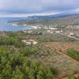  For Sale - (€ 0 / m2), Agricultural 5586.33 m2 Thasos 8098464 thumb7