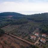  For Sale - (€ 0 / m2), Agricultural 5586.33 m2 Thasos 8098464 thumb2