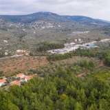  For Sale - (€ 0 / m2), Agricultural 5586.33 m2 Thasos 8098464 thumb5