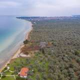 For Sale - (€ 0 / m2), Agricultural 8100 m2 Thasos 8098473 thumb4