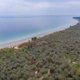  For Sale - (€ 0 / m2), Agricultural 8100 m2 Thasos 8098473 thumb5
