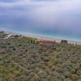  For Sale - (€ 0 / m2), Agricultural 8100 m2 Thasos 8098473 thumb8