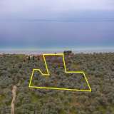  For Sale - (€ 0 / m2), Agricultural 8100 m2 Thasos 8098473 thumb2