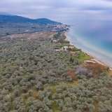  For Sale - (€ 0 / m2), Agricultural 8100 m2 Thasos 8098473 thumb9