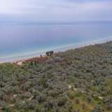  For Sale - (€ 0 / m2), Agricultural 8100 m2 Thasos 8098473 thumb6
