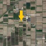  For Sale - (€ 0 / m2), Agricultural 2419 m2 Chrisoupoli 8098489 thumb1
