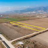  For Sale - (€ 0 / m2), Agricultural 2419 m2 Chrisoupoli 8098489 thumb3