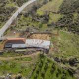  For Sale - (€ 0 / m2), Agricultural 3697 m2 Pierea 8098498 thumb7