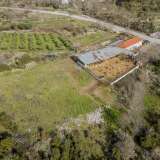  For Sale - (€ 0 / m2), Agricultural 3697 m2 Pierea 8098498 thumb5
