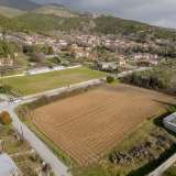  For Sale - (€ 0 / m2), Agricultural 4246 m2 Eleftheroupoli 8098499 thumb2