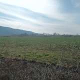  Miete , Agricultural 3000 m2 Pierea 8098529 thumb2