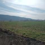  For Rent , Agricultural 3000 m2 Pierea 8098529 thumb1