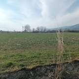  For Rent , Agricultural 3000 m2 Pierea 8098529 thumb0