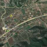  For Rent , Agricultural 3000 m2 Pierea 8098529 thumb5
